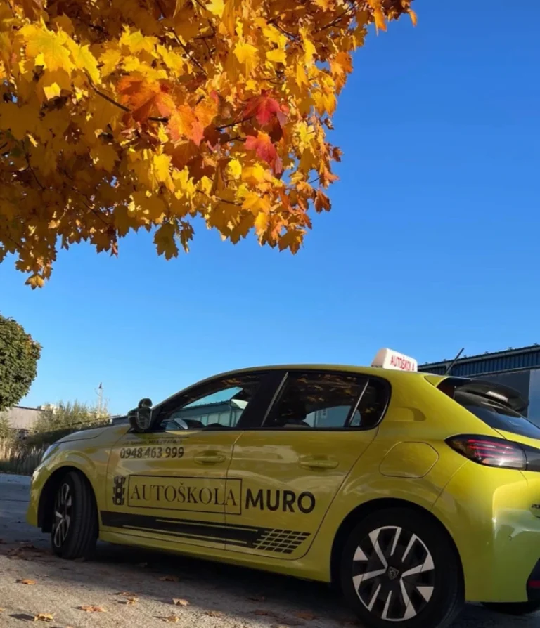 peugeot pod jesennym stromom